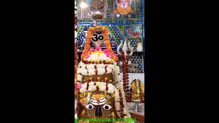 Mahashivratri shree kuntesvar mahadev farara