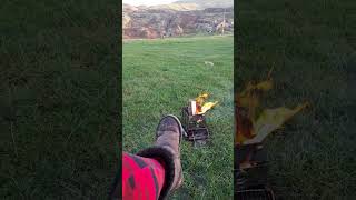 Campfire in Snowdonia #shorts #solocamping #campfire #snowdonia