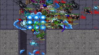 Tibia War Ancorverunt Megamaximus 1131 PVP FRAG