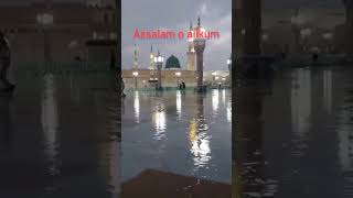 چل مدینے چلتے ہیں ❣️ #viral #new #shorts #nature #islam