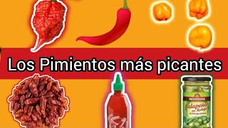 Los GOMINOLAS  MÁS PICANTES del MUNDO🌶️☠️🌶️☠️