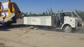 Large Frame Pistachio Harvesting