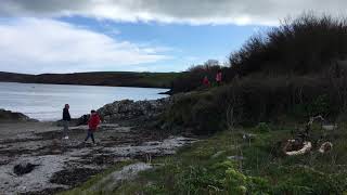 A Day At the Beach Castlepark Kinsale Ireland