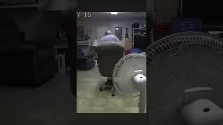 Fan Blade Flies Off Fan #random #viral #shorts #fyp