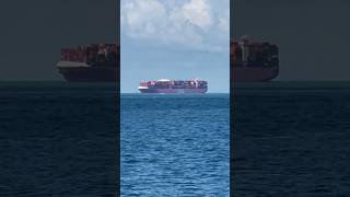 World’s biggest container Ship , Bigship at Sea 🌊 sailing #bigship #sailing