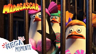 The Penguins are in Trouble! 🐙 🐧 | Penguins of Madagascar | Mega Moments