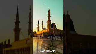 Sta da Dar malang yama||Pashto Naat Status||beautiful voice,,😍😍