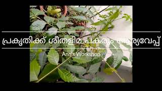 AARYAVEPPU (NEEM ) BENEFITS