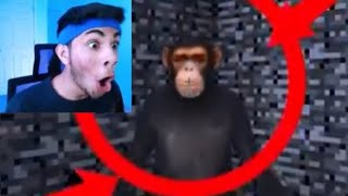 Monke