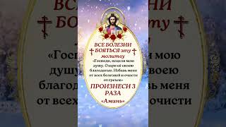 Господи, исцели мою душу. Озари её своею благодатью. Избавь меня от всех болезней и очисти от грехов