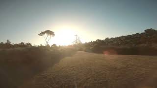 Summer FPV | Golden hour