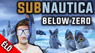 MILYEN MÉLYRE LEHET SÜLLYEDNI? | Subnautica Below Zero