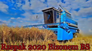 Rzepak 2020 - Bizon BS