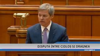 DISPUTA INTRE CIOLOS SI DRAGNEA