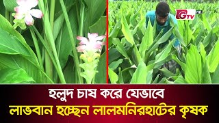 হলুদ চাষ করে যেভাবে লাভবান হচ্ছেন লালমনিরহাটের কৃষক | Lalmonirhat Farmer | GTV News