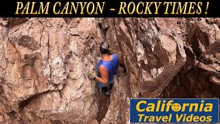 Quartzsite/Palm Canyon, Climbing to TOP of  Palm Canyon, Kofa National Refuge