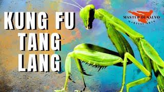 Kung Fu Tang Lang.