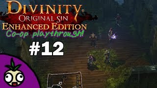 The Escort | Ankford & Friend Plays: Divinity Original Sin Co-op! | Part 12