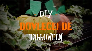 DIY: Cum să faci dovleci de Halloween din materiale pe care le ai în casă | Tips&tricks | Lovedeco