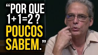 DEMONSTRAÇÕES MATEMÁTICAS vs EXEMPLOS - Ledo Vaccaro