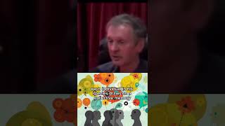 Rupert Sheldrake Explaining His Theory Of MORPHIC RESONANCE.