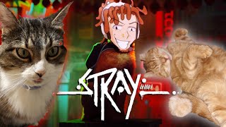 IM A CAT FEAR ME!!! | Stray