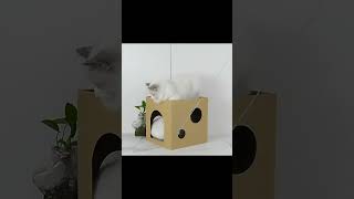 Cardboard Cat Scratch House