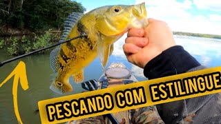 Pescando no Paraíso: O Rio Grande e seu incrível estoque de peixes