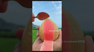 🍓🍒🍏Farm Fresh Ninja Fruit 🍎🍇🍉🍑😍 Eating Fruit yummy Oddly Satisfying Fruit Ninja #2176