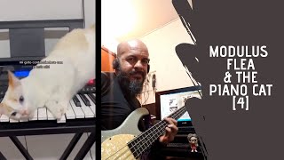 Modulus Flea & The (other) Piano Cat [4]