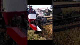 rich cutter machine rice harvesting.#ricecuttingmachine #viralshort #viralvideo #trendingshorts