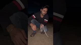 Non venomous snakes #sagar_sahu_0 #korbachhattisgarh #youtubeshorts #snakerescuevideo #cobra #new