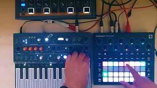 Circuit tracks & Microfreak jamming random