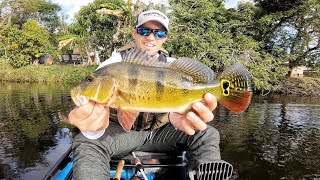 My First PEACOCK Bass from the KAYAK | Peacock Bass Fishing in SW FL