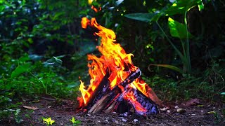 🔥 Crackling Fire & Nature Sounds in 4K | Relaxing Campfire Ambience for Sleep, Study & Meditation