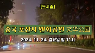 [도시숲] 중국 포산시 웬화공원 文华公园 🌳 2024. 11. 24. 일요일 밤 11시 촬영 📽️