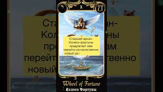 #tarot #рекомендации #таро #рекомендация #психолог #картадня #таролог #любовь #рунолог #маг #магия