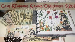 Cash Stuffing SIDE HUSTLE INCOME to CHALLENGES! $205