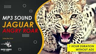 SOUND JAGUAR ANGRY ROAR