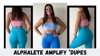 Celer Leggings and Sports Bras Review + Try On | Alphalete Amplify Dupes