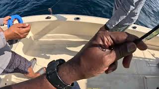 The Unbelievable Deep Sea Fishing Rod Recovery in Khorfakkan