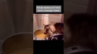 Подпишись👍 #follow #fitness #russia #meme #memes #memesdaily #video #shorts #vines #popular #news