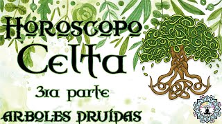 Horóscopo celta, druidas y los árboles celtas. 🌳Conoce que árbol celta es tu guía y guardián PARTE 3