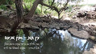 עין תות - מעיין אניעם. בריכת מים מדליקה ברמת הגולן - מתאים למשפחות עם ילדים. חניה צמודה #מעיין #גולן