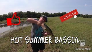 HOT SUMMER BASS