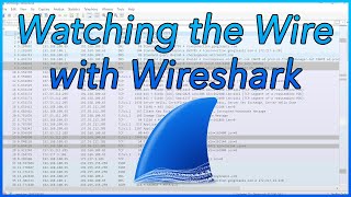 11 - School from Home: Watching the Wire with Wireshark