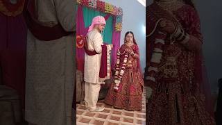 Dogra Wedding BarMala #trending #wedding #love #love #reels #Dogra Marriage #facts