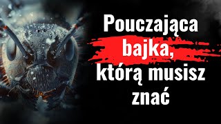 Magiczna opowieść dla młodszych i starszych. Konik polny i Mrówka - pouczająca i mądra historia.