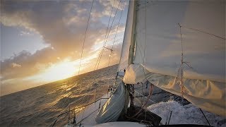 I had to abandon my friend on an island - Ep65 - The Sailing Frenchman