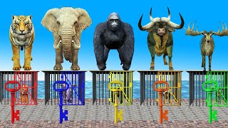 mystery key escaping game giant elephant tiger gorilla buffalo puma 5 ducks dinosaur deer bear